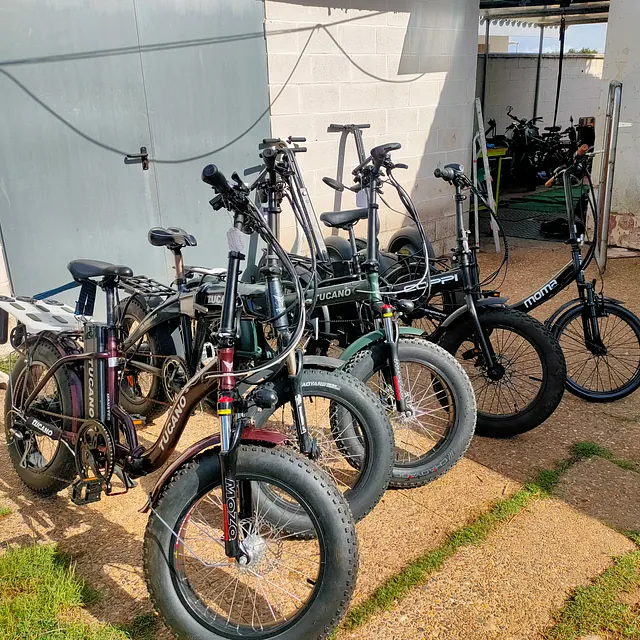 Bicicleta